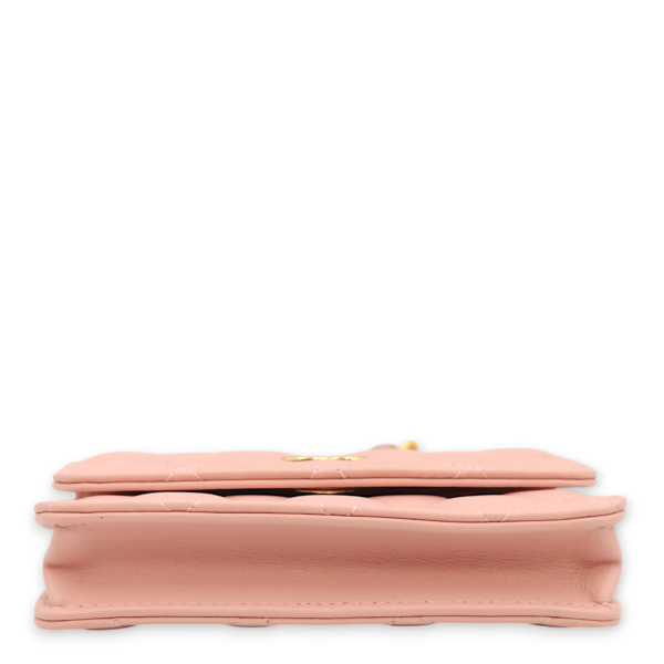 Mini Chain Pink /Pink/Grey Clutch in Lambskin, Gold hardware - Image 7