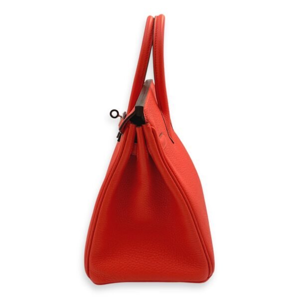 Birkin 25 Capucine in Togo, Palladium hardware - Image 4