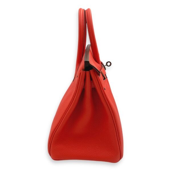 Birkin 25 Capucine in Togo, Palladium hardware - Image 3