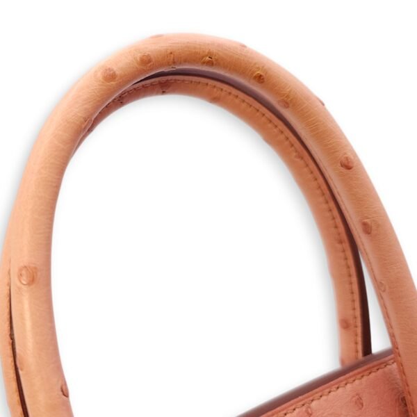 Birkin 30 Terre Cuite in Ostrich, Gold hardware - Image 9