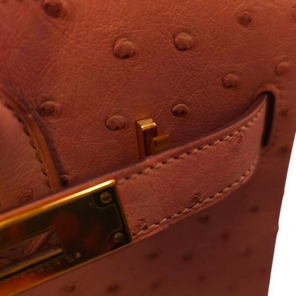 Birkin 30 Terre Cuite in Ostrich, Gold hardware - Image 10