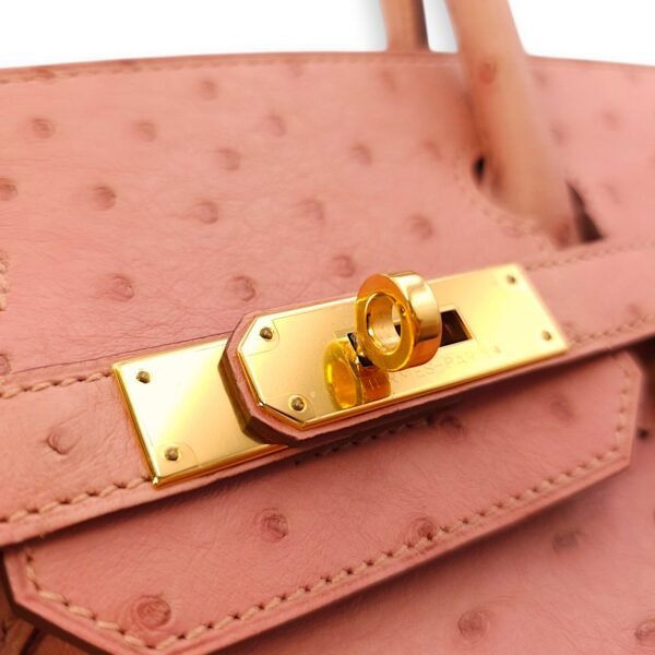 Birkin 30 Terre Cuite in Ostrich, Gold hardware - Image 8
