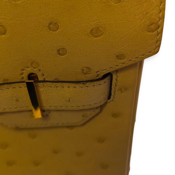 Birkin 30 Parchemin in Ostrich, Gold hardware - Image 5