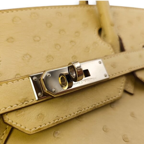 Birkin 30 Parchemin in Ostrich, Palladium hardware - Image 7