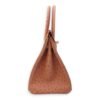 Birkin 30 Terre Cuite in Ostrich, Gold hardware - Image 4