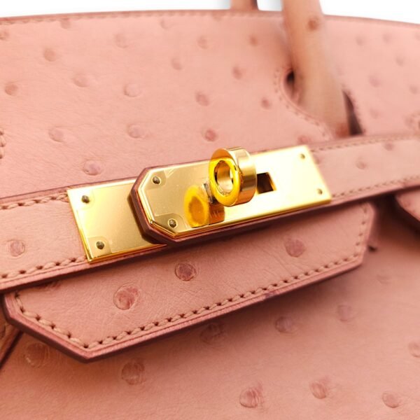 Birkin 30 Terre Cuite in Ostrich, Gold hardware - Image 9