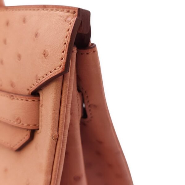 Birkin 30 Terre Cuite in Ostrich, Gold hardware - Image 7