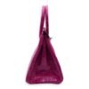 Birkin 30 Pink in Shiny Niloticus, Palladium hardware - Image 4