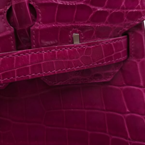 Birkin 30 Pink in Shiny Niloticus, Palladium hardware - Image 7