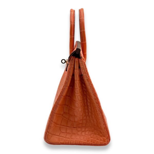 Birkin 25 Orange Poppy in Matte Alligator, Gold hardware - Image 4