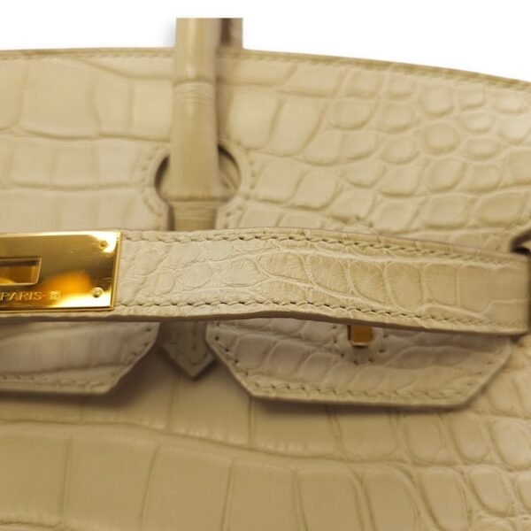 Birkin 30 Beton in Matte Alligator, Gold hardware - Image 10