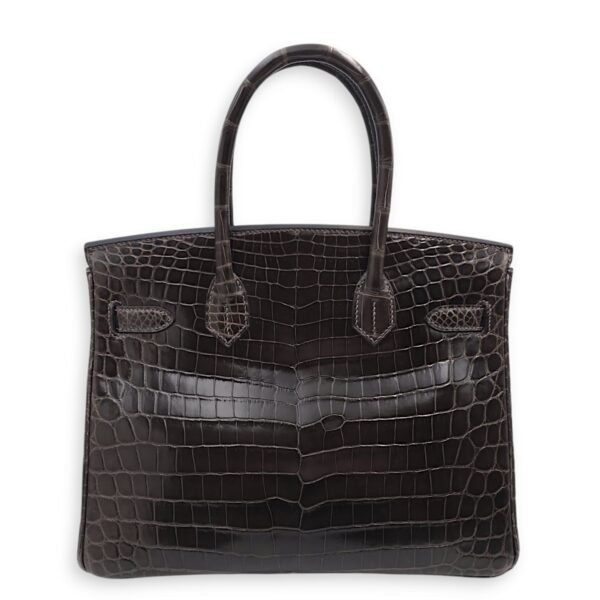 Birkin 30 Graphite in Shiny Niloticus, Gold hardware - Image 2
