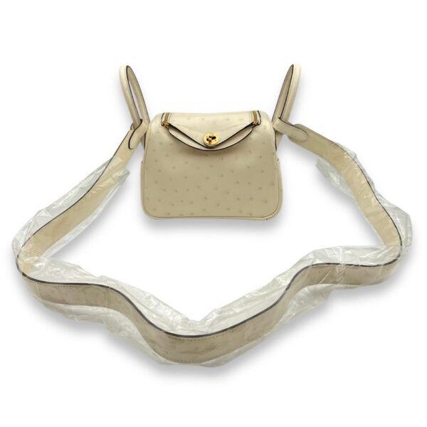 Lindy Mini Nata in Ostrich, Gold hardware - Image 3