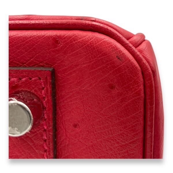 Birkin 30 Bougainviller in Ostrich, Palladium hardware - Image 7