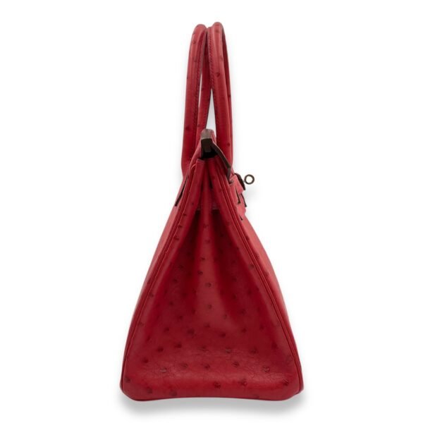 Birkin 30 Bougainviller in Ostrich, Palladium hardware - Image 3