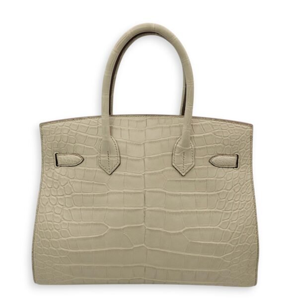 Birkin 30 Beton in Matte Alligator, Gold hardware - Image 2