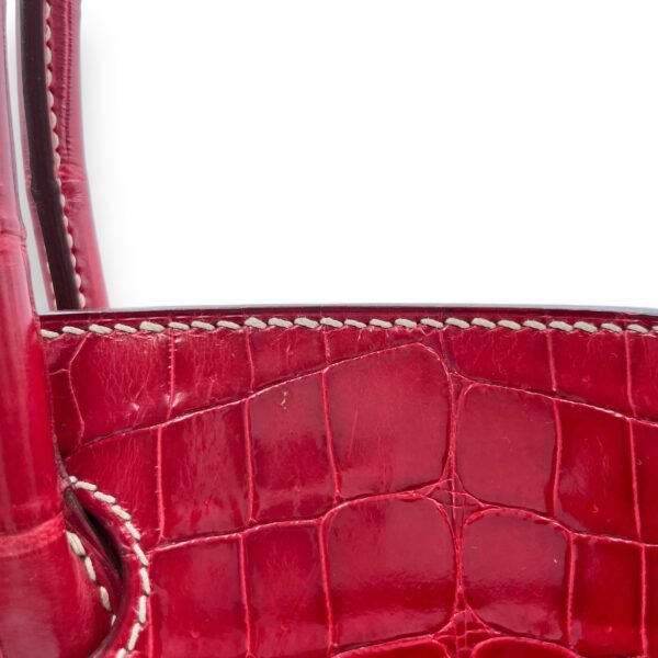 Birkin 30 Rouge in Shiny Niloticus, Palladium hardware - Image 7