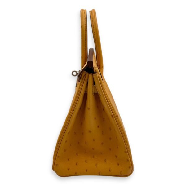 Birkin 25 Saffron in Ostrich, Palladium hardware - Image 4