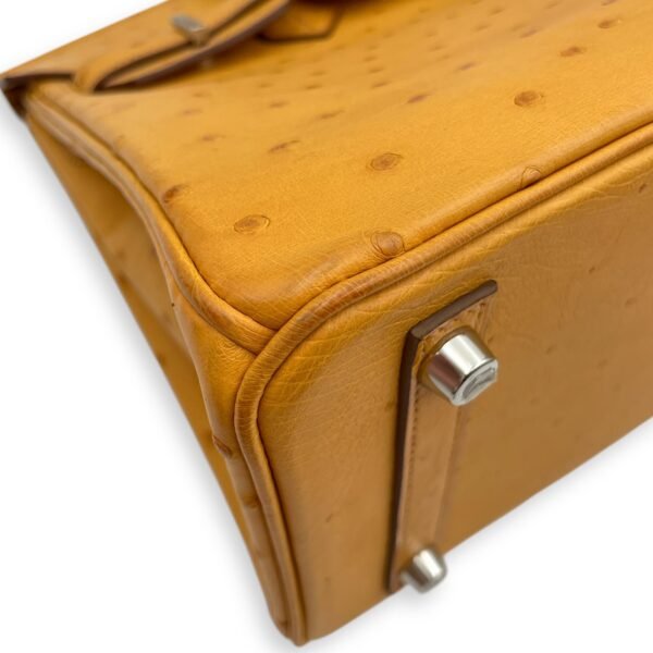 Birkin 25 Saffron in Ostrich, Palladium hardware - Image 7