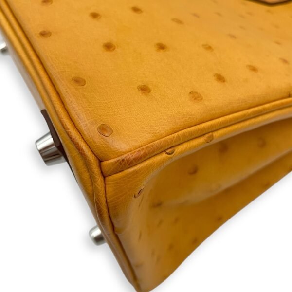 Birkin 25 Saffron in Ostrich, Palladium hardware - Image 9