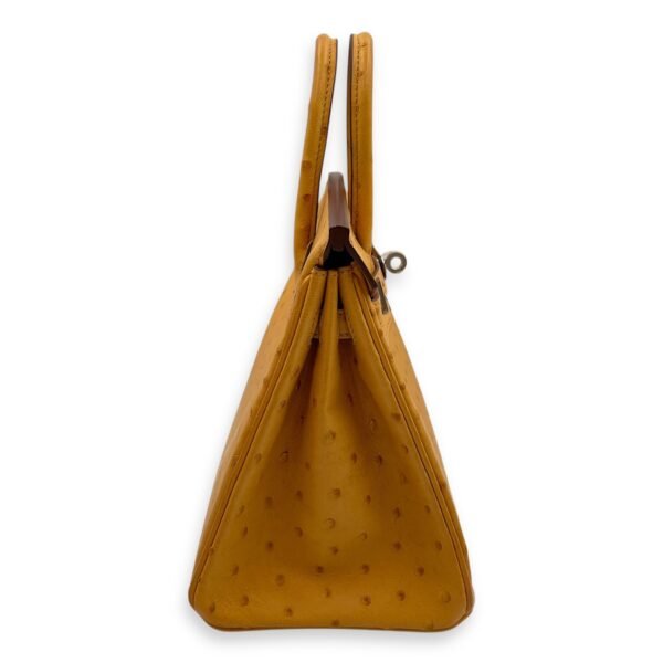 Birkin 25 Saffron in Ostrich, Palladium hardware - Image 3