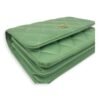 CC Wallet On Chain Green in Lambskin, Gold hardware - Image 16