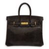 Birkin 25 Cocaon in Lizard Varanus Niloticus, Gold hardware