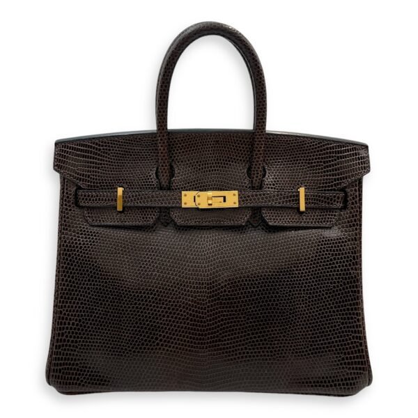 Birkin 25 Cocaon in Lizard Varanus Niloticus, Gold hardware