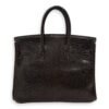 Birkin 25 Cocaon in Lizard Varanus Niloticus, Gold hardware - Image 2
