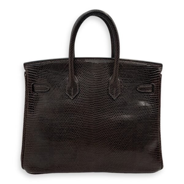 Birkin 25 Cocaon in Lizard Varanus Niloticus, Gold hardware - Image 2