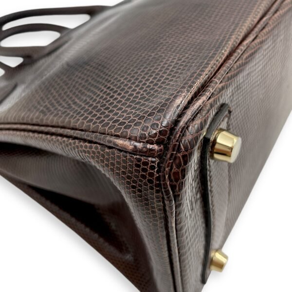 Birkin 25 Cocaon in Lizard Varanus Niloticus, Gold hardware - Image 7