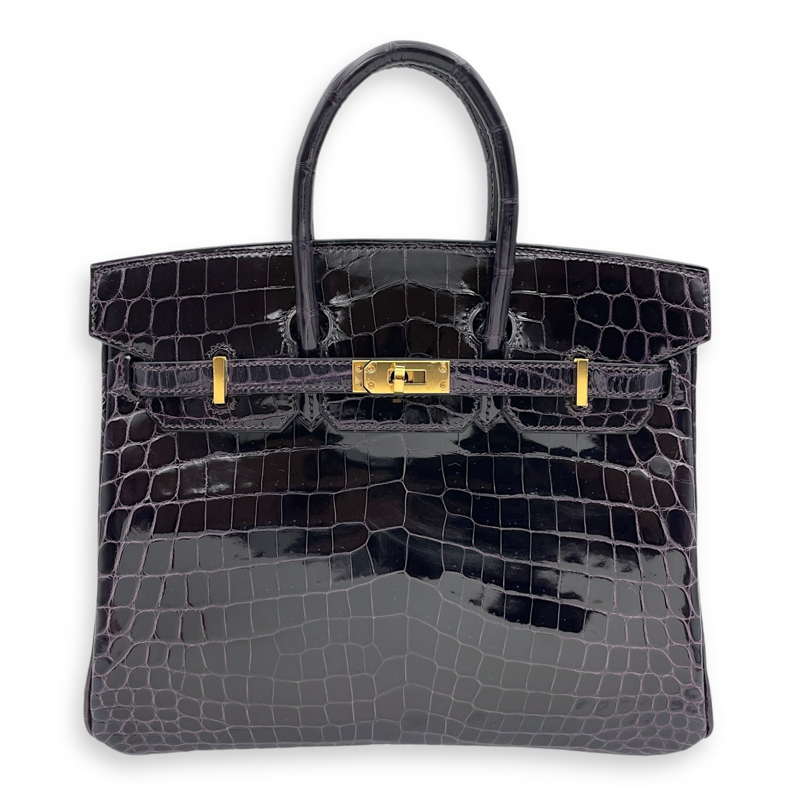 Birkin 25 Prunoir in Shiny Niloticus, Gold hardware