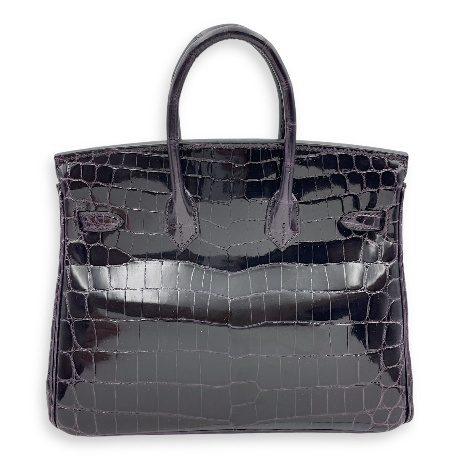 Birkin 25 Prunoir in Shiny Niloticus, Gold hardware - Image 2