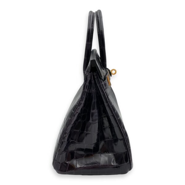 Birkin 25 Prunoir in Shiny Niloticus, Gold hardware - Image 3