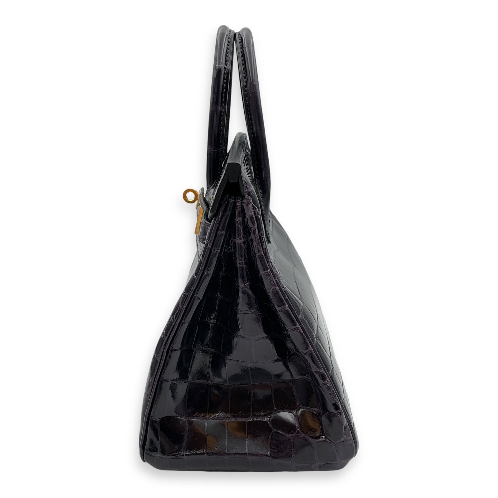 Birkin 25 Prunoir in Shiny Niloticus, Gold hardware - Image 4