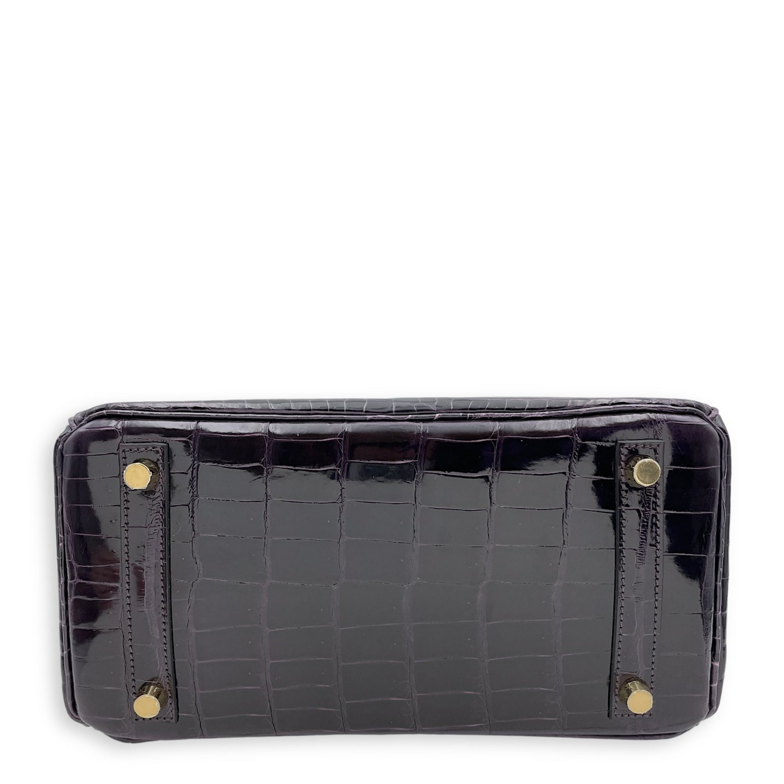 Birkin 25 Prunoir in Shiny Niloticus, Gold hardware - Image 5