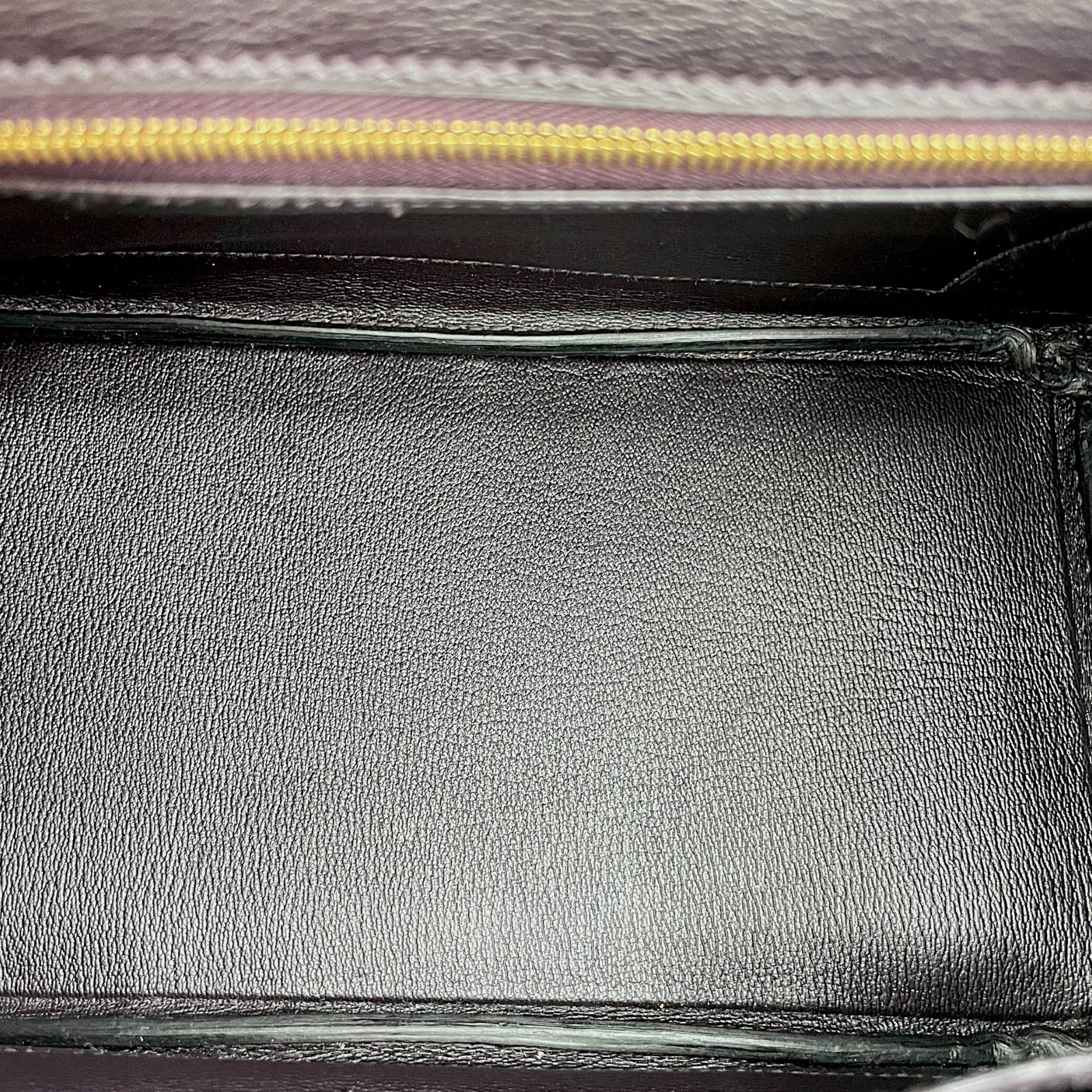 Birkin 25 Prunoir in Shiny Niloticus, Gold hardware - Image 6