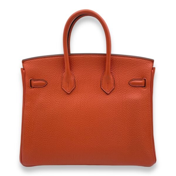 Birkin 25 Tevre Bative in Togo, Gold hardware - Image 2