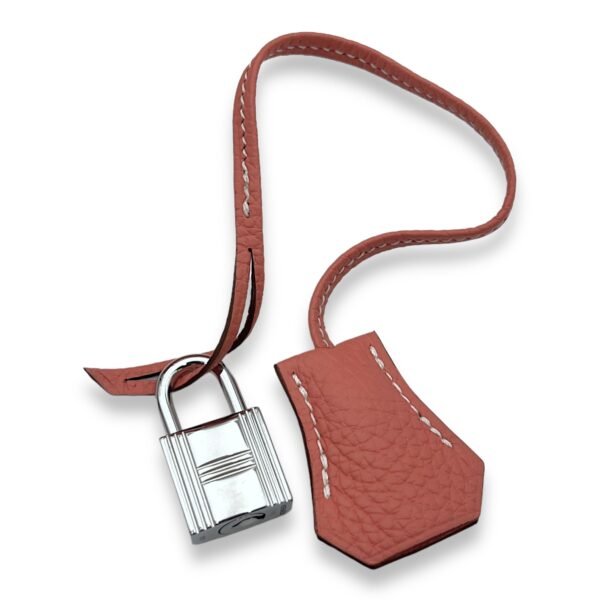 Birkin 30 Crevette in Clemence, Palladium hardware - Image 11