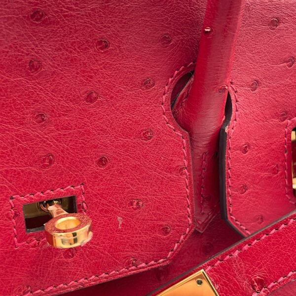 Birkin 30 Rouge Vif in Ostrich, Gold hardware - Image 12