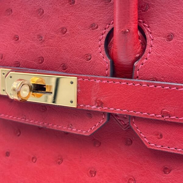 Birkin 30 Rouge Vif in Ostrich, Gold hardware - Image 13