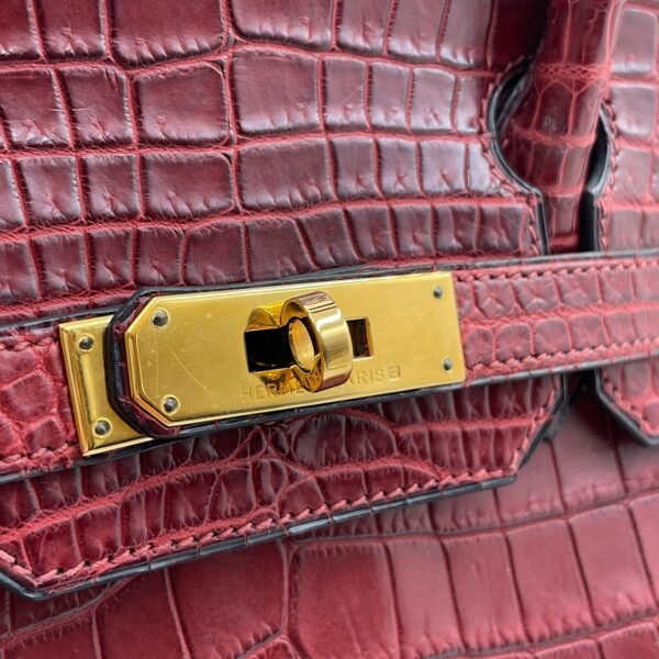 Birkin 30 Rouge in Matte Niloticus, Gold hardware - Image 7