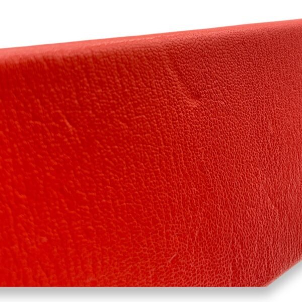 Cinhetic Capucine in Chevre Leather, Palladium hardware - Image 6