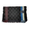 Damier Stole Multi-colour Scarf in Wool