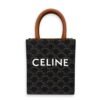 Cabas Triomphe Vertical Top Handle Bag Brown in Coated Canvas, Gold hardware