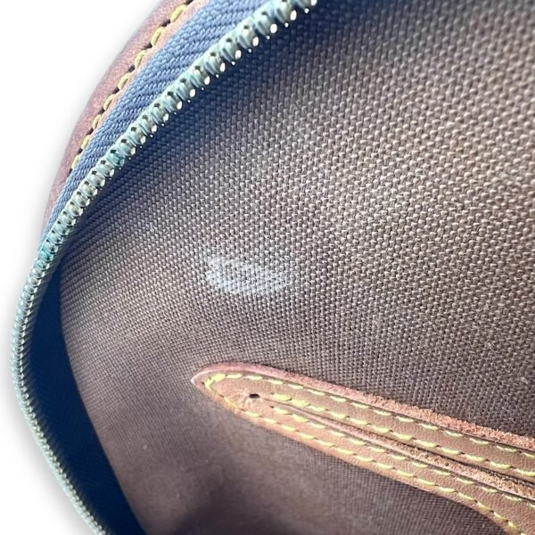 Ellipse Backpack Brown in Monogram Coated Canvas, Gold hardware - Image 14